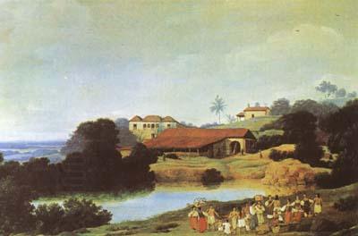 Frans Post Hacienda (mk08) oil painting picture